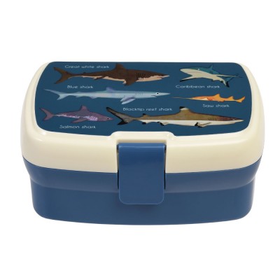 Lunch Box Sharks