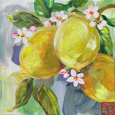 SA349 - Citrons