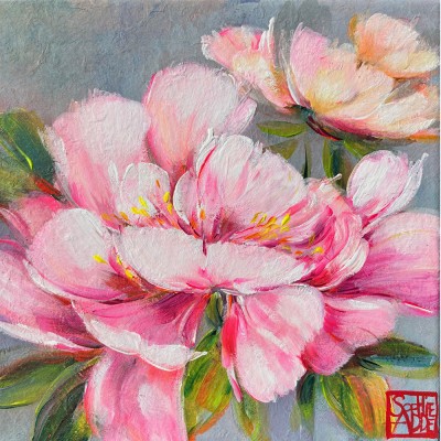 SA364 - Pivoines