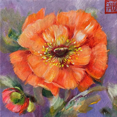 SA366 - Coquelicot