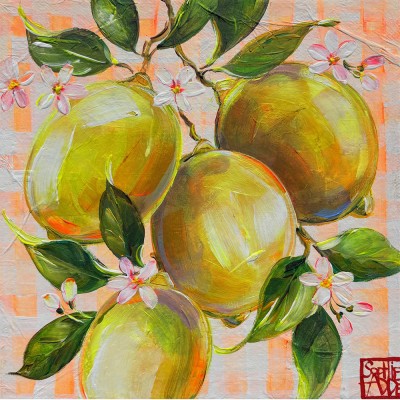 SA368 - Les citrons