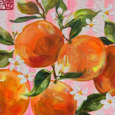 SA373 - Les oranges