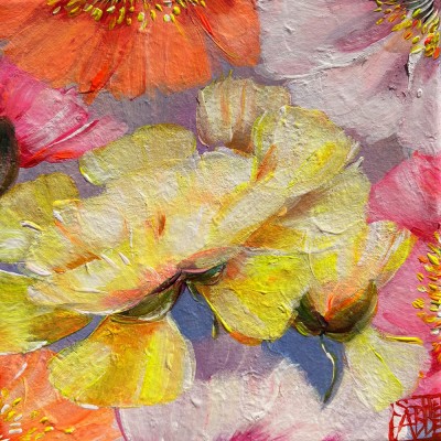 SA372 - Jaune pivoine