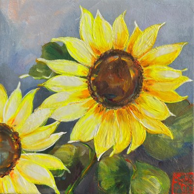 SA376 - Les Tournesols
