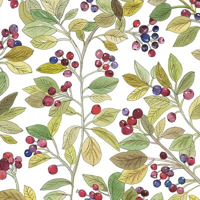 20 serviettes en papier Luana