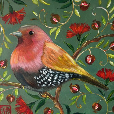 SA382 - Hypargos et grenades