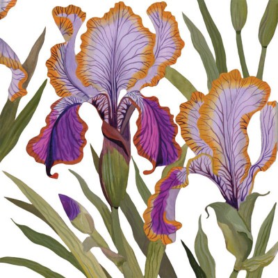 20 serviettes en papier...