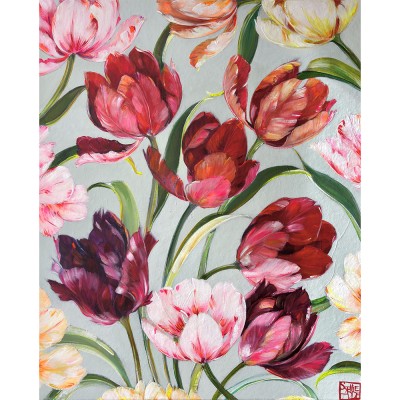 SA421 - Tulipes