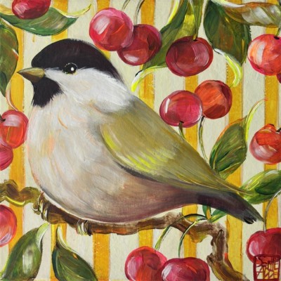 SA418 - Mésange nonnette...