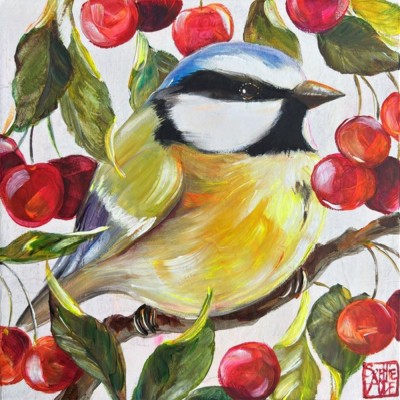 SA417 - Mésange aux cerises