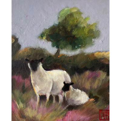 SA434 - Landes roses